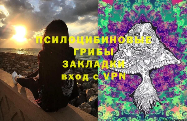 бошки Дмитров