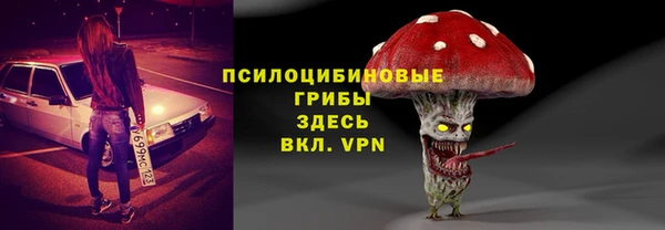 бошки Дмитров