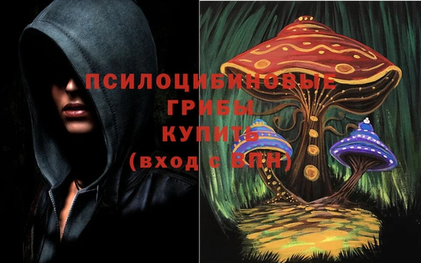 таблы Чердынь