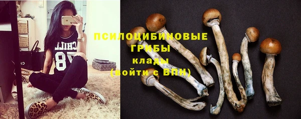 ешки Новодвинск