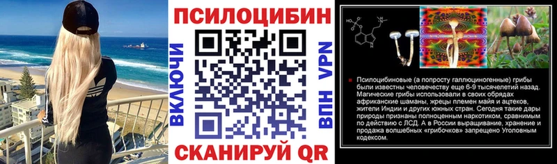 цены наркотик  Павловск  Псилоцибиновые грибы Cubensis 