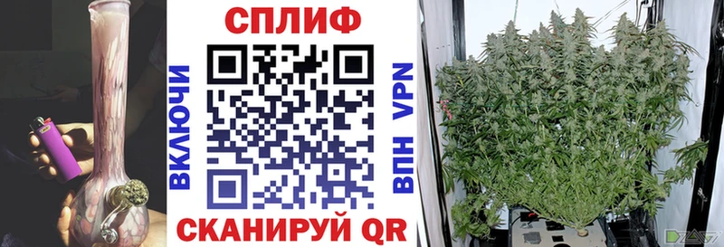 Канабис семена Павловск