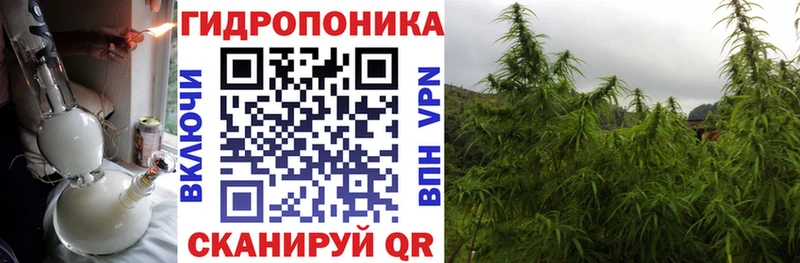 Каннабис Ganja  Павловск 